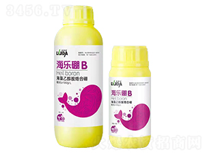 �����Ҵ����j����-������B(y��ng)-�_��������