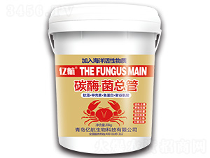 ̼ø��������-�|��