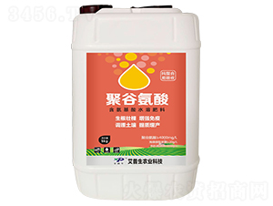 �۹Ȱ���-������