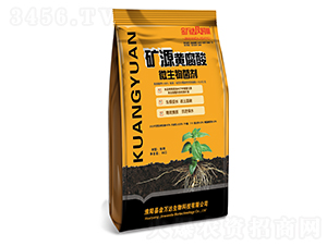 �VԴ�S����΢�������-���f�_���r��