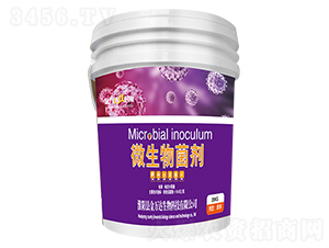 ΢�������-���f(w��n)�_(d��)���r(sh��)��