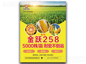 ���S258-���׷N��-���r(n��ng)���