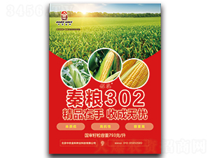 �ؼZ302-���׷N��-���r(n��ng)���