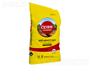 40kg΢�������-�ȿɵ�-�G�󻯹�