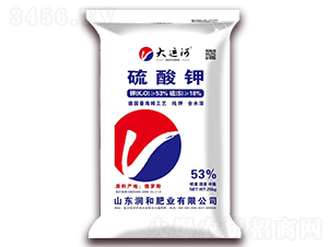 �����-���\(y��n)��-��(r��n)�ͷʘI(y��)