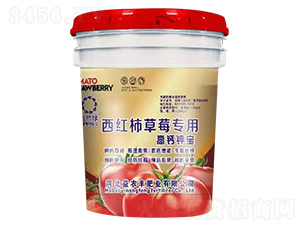 ���t����ݮ���ø��}⛌�-��Ƭ�G-���r�S 