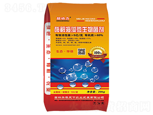 ø�⺣��΢�������-����(d��ng)��-�A������