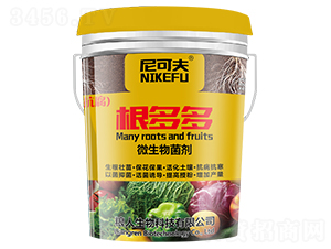 ����ࣨ΢���������-��ɷ�-��ؼZ��