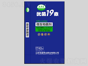 ΢�������-��(y��u)��19��-��ʢ���I(y��)