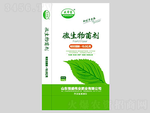 ΢�������-ʢ�ی�-��ʢ���I(y��)