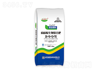 �ͺϷʣ���ֲ���������Ϸʣ�26-10-12+TE-ʢ�ی�-��ʢ���I(y��)