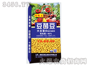 �󶹵���΢�������-������-������(l��i)