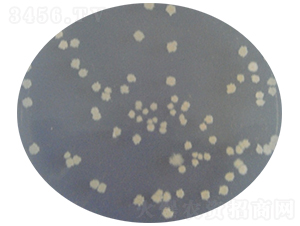 �ݲ�ѿ�ߗU��-΢������