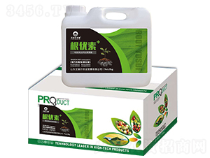 ����(y��u)��-�����������u-������