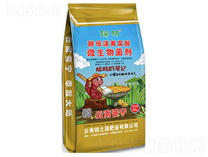 ��ĸԴ�S����΢�������-����-�G֮Դ