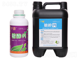 �Ǵ��}-ǧ��-�m������