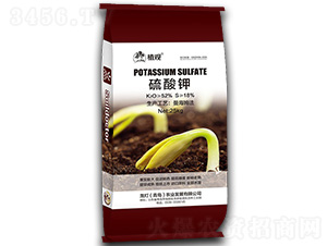 �����-ֲ�^-�����r(n��ng)�I(y��)