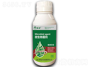 ΢�������-ֲ�^-�����r(n��ng)�I(y��)