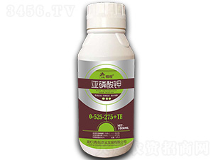 �������0-525-275+TE-ֲ�^-�����r(n��ng)�I(y��)