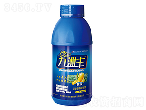 ������a(b��)�f�͠I(y��ng)�B(y��ng)�{(di��o)��(ji��)��-�����S