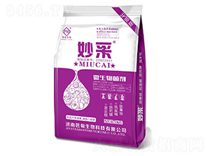 ΢�������-���-�ŵ�����