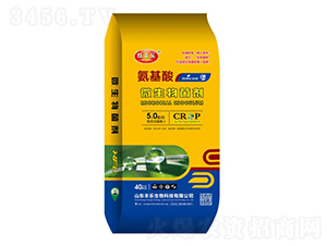 ������΢�������-�W�S��-�S������