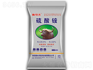 �����@-ʩ����-���S�r(n��ng)��