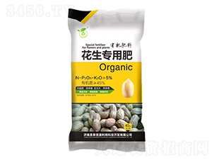 ���������ЙC(j��)����-��̩