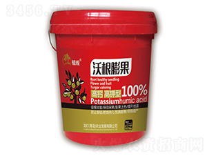 �ָ����-ֲ�^-�����r�I(y��)