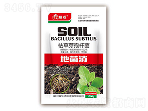 �ݲ�ѿ�ߗU��-�ؾ���-�����r�I(y��)