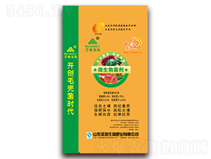 ΢�������-ʥ������