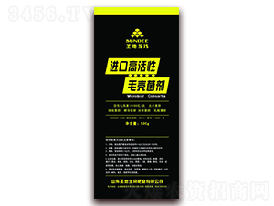 �M(j��n)�ڸ߻���ë�˾���-ʥ������