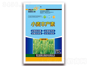 С���S�a(ch��n)��-���a����