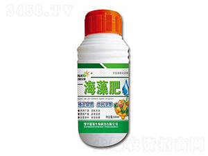 �����-���a����