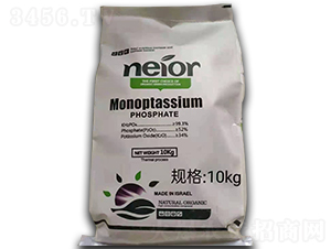 �������⛣�10kg��-�����r(n��ng)�I(y��)