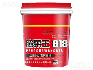 �����818-��������