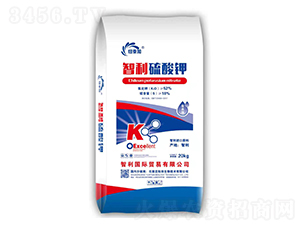 ���������-�~����-��������