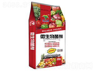 ΢���������������΢��Ԫ�أ�-¡̩�r(n��ng)�I(y��)