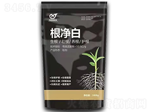 ������-�A������