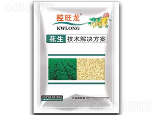 �����������һ���-������-���S�r(n��ng)�Y