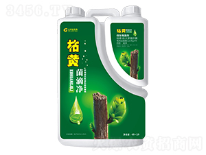 ΢�������-���S���΃�-���ý�