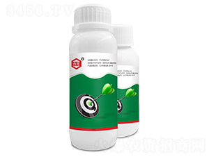 10%���ȡ�����������-����-����