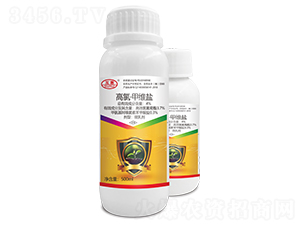 4%���ȡ��׾S�}΢�鄩-����