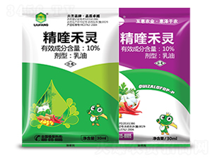 10%��୺��`����-����-����