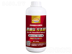 1000g���O�u���t����-�����r(n��ng)��