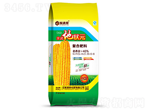 ����ؠ�Ԫ�ͺϷ���26-6-6-���M̩-�M̩����