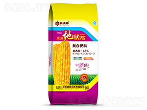 ����ؠ�Ԫ�ͺϷ���26-10-12-���M̩-�M̩����