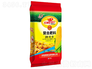 �t������ͺϷ�28-6-8-�M̩����