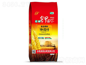 �t�������(f��)�Ϸ�18-22-5-�M̩����