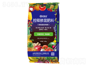 ��ጓ������-ʷ���S